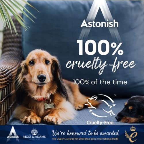 Astonish Kitchen Cleaner, Vegan And Cruelty Free And Blended With Natural Oils, 750ml, Zesty Lemon